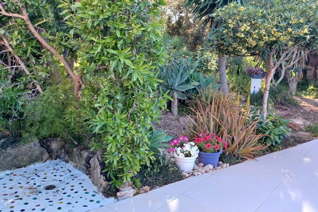 Holiday home Reganes Sant Josep de sa Talaia