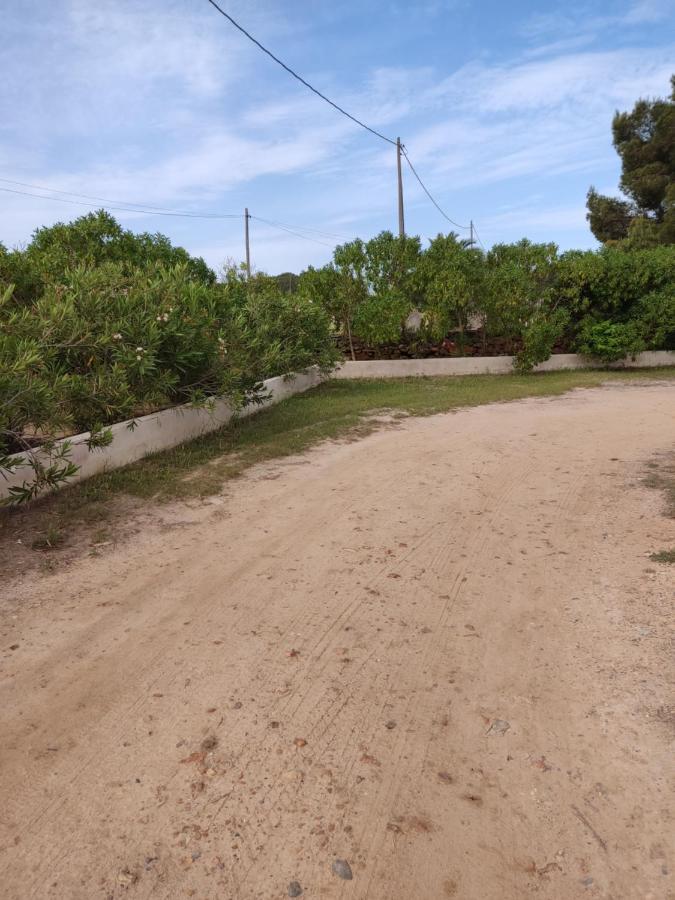 Ca Na Catalina Den Andreu Holiday home