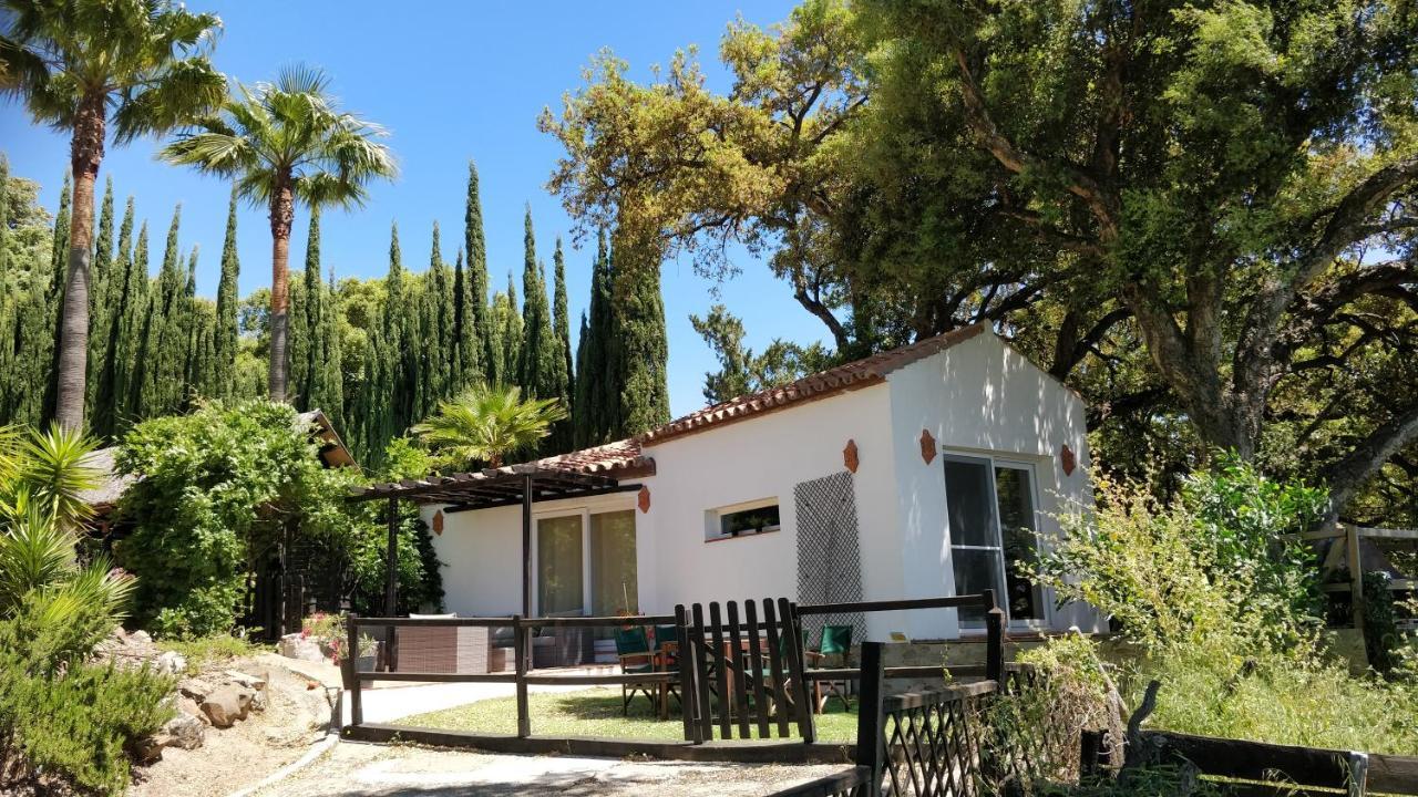 Kia Ora Retreat Apartment Casares