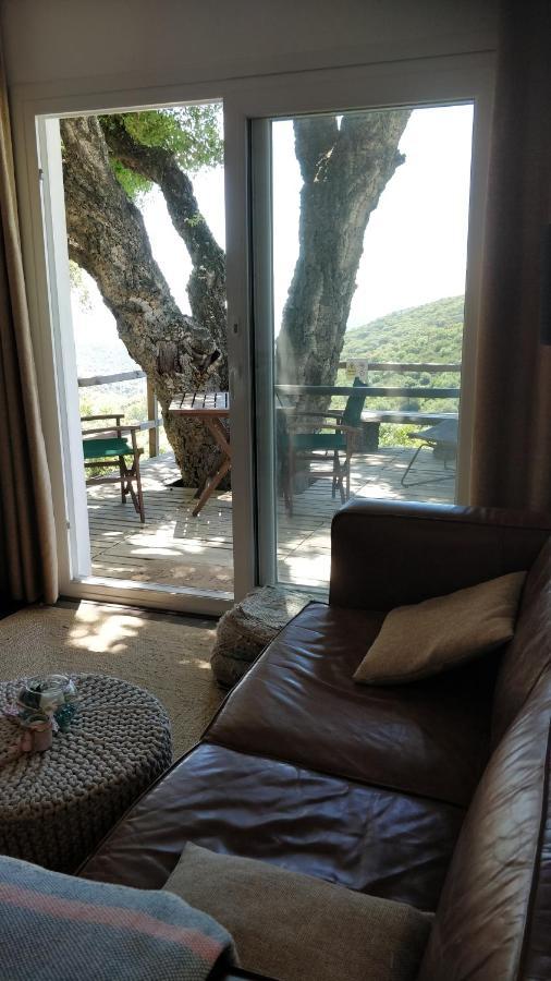 Kia Ora Retreat Apartment Casares