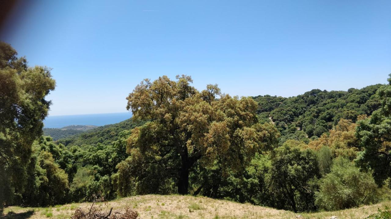 Kia Ora Retreat *