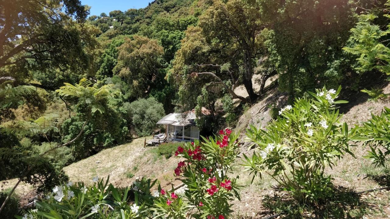 Kia Ora Retreat Apartment