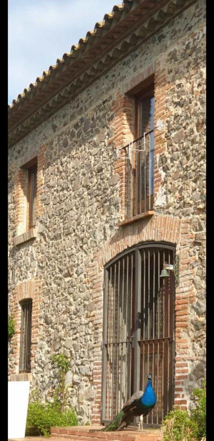 Del Remei Vidreres