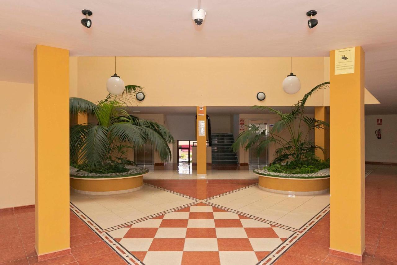 Apartamento Tenerife Mejor Clima, Sitio Privilegiado