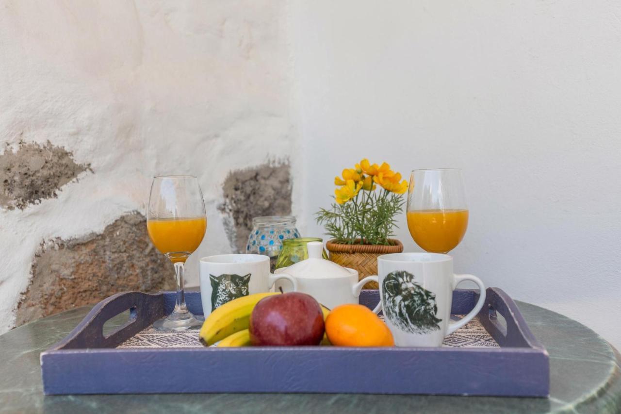 Edén Ecologico En Casa La Fuentita *