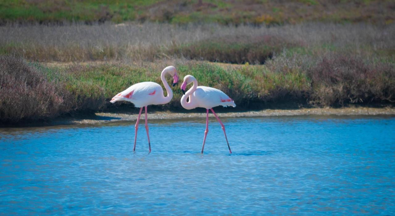 El Rincón De Elena Delta Del Ebro Apartamento Els Muntells