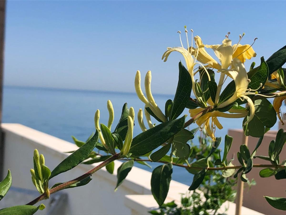 Apartment Atico En La Playa Con Terraza Privada La Cala Del Moral