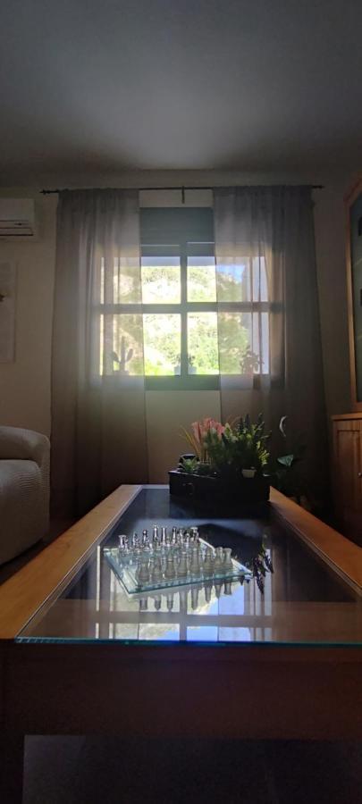 Apartamento Yolanda *