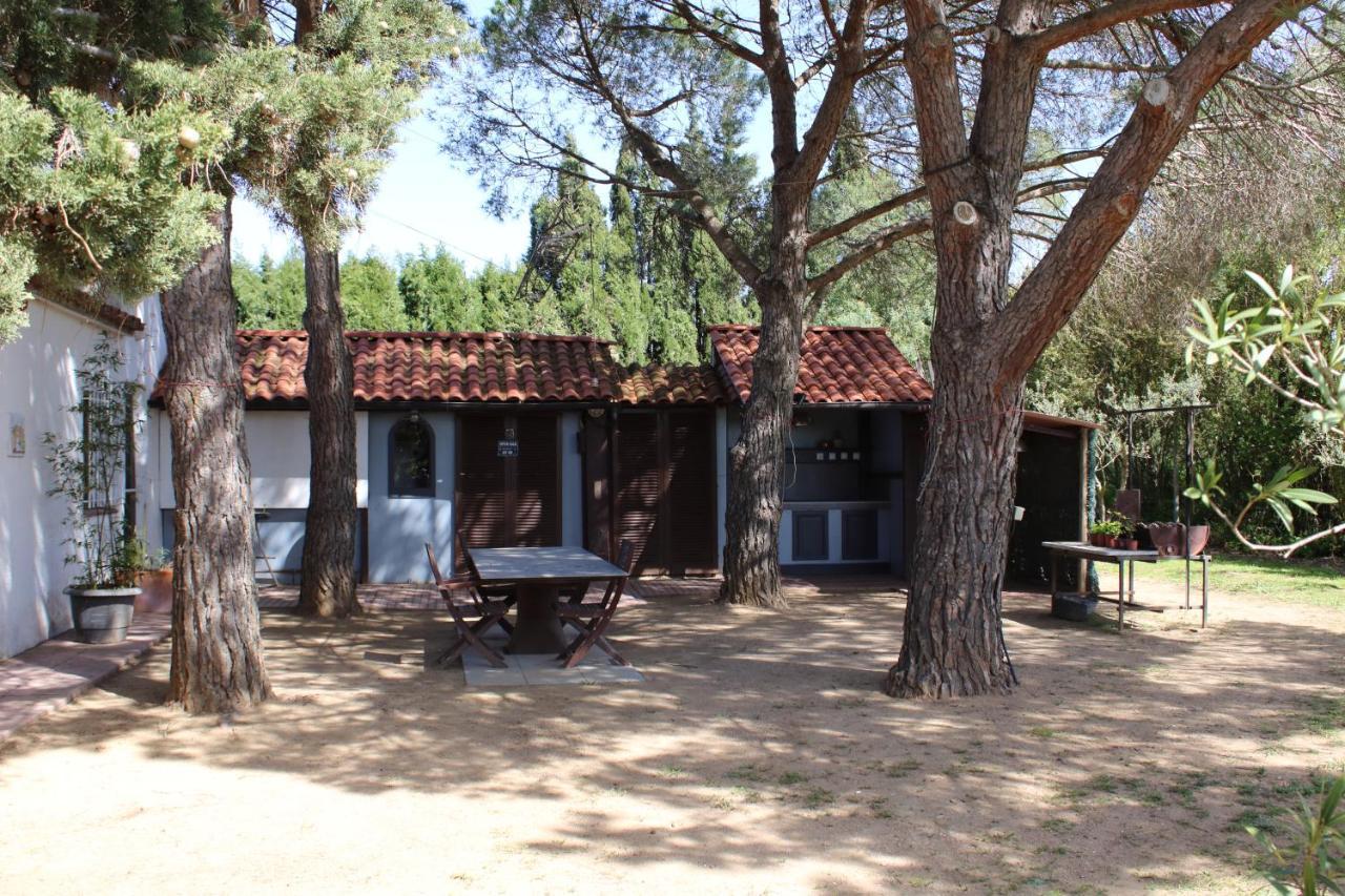 Casa Gecko Vilajuiga