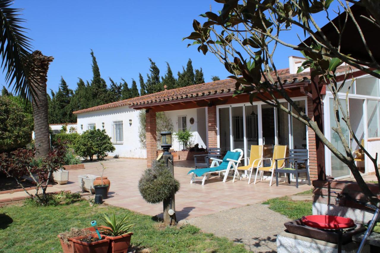 Guest house Casa Gecko *