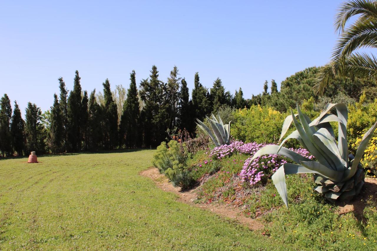 Guest house Casa Gecko