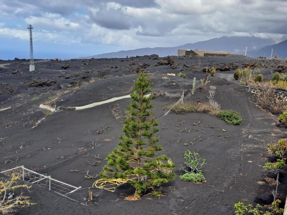 Casa Cueva De Palomas 1 Las Manchas (La Palma)