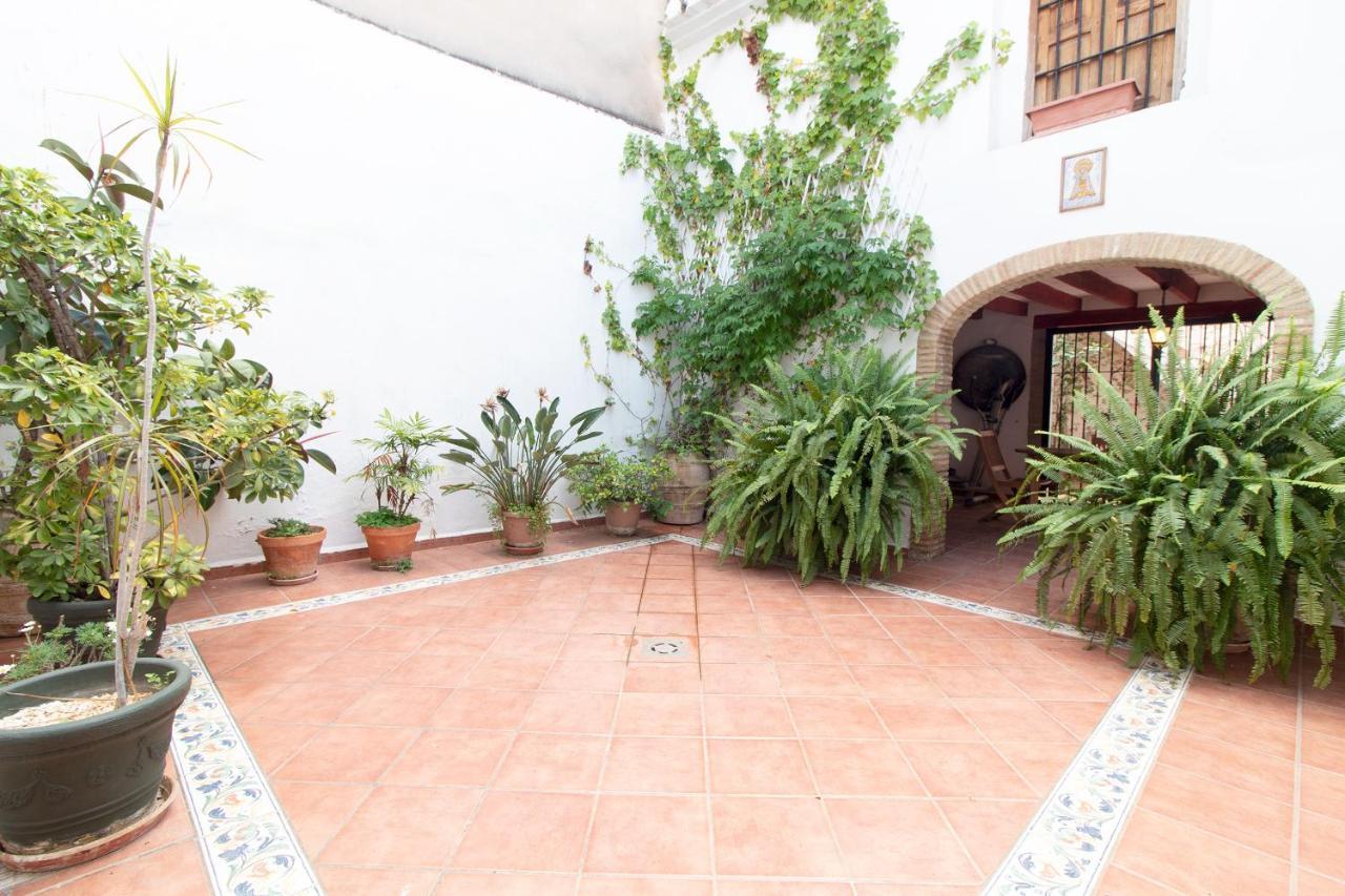 Global Properties, Bonita En *