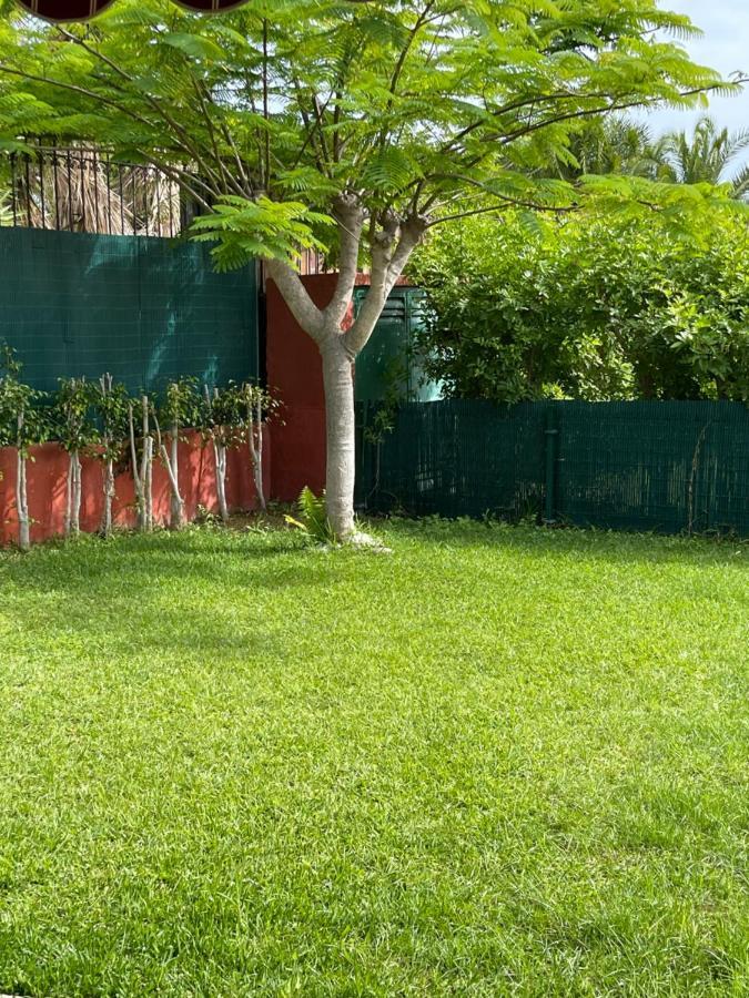 Albaricoque Sun&beach Apartamento