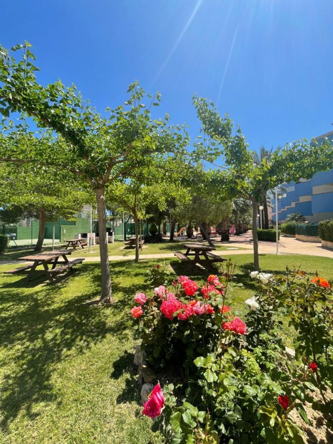 Atico Con Solarium Privado En Aguamarina Dehesa de Campoamor (Orihuela Costa)