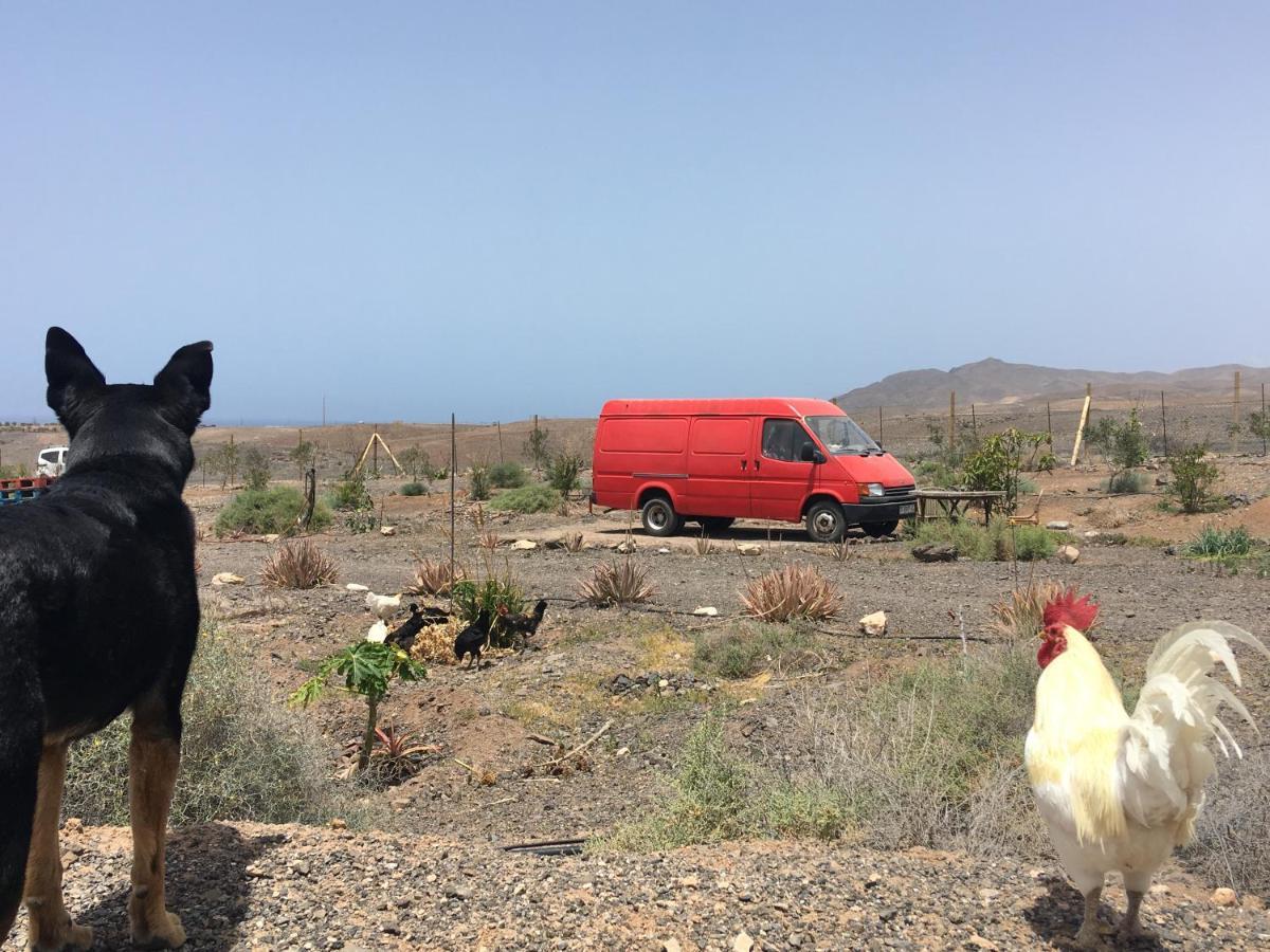 Casa Madre Tierra La Pared (Las Palmas)
