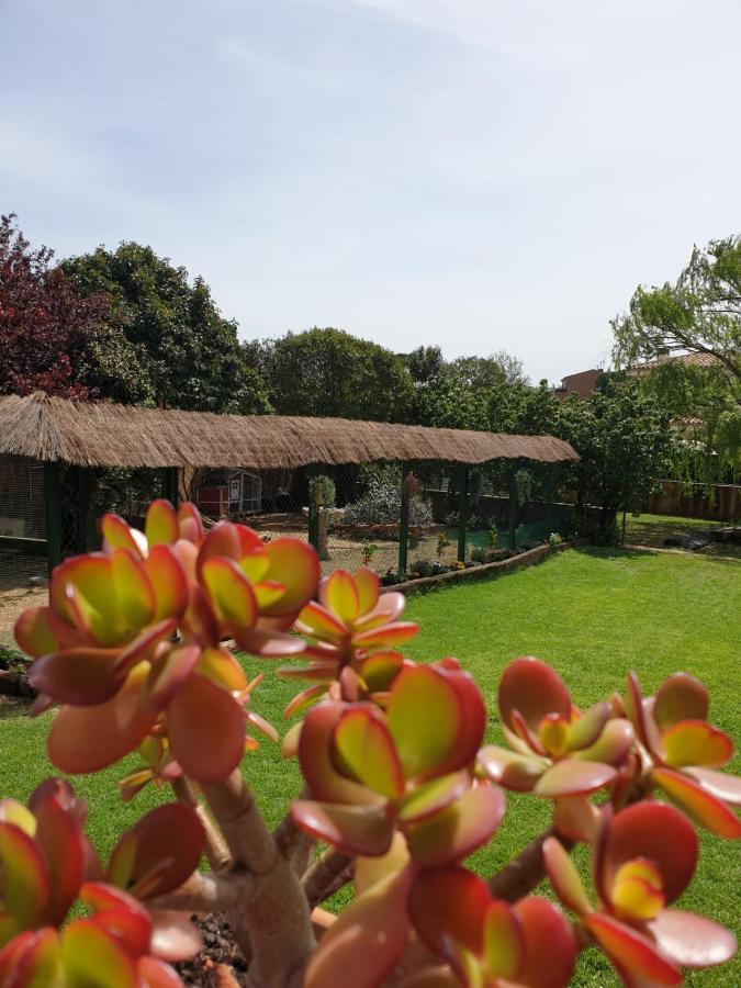 Holiday home Del Remei Vidreres