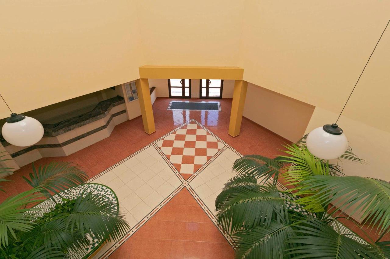 Apartamento Tenerife Mejor Clima, Sitio Privilegiado *