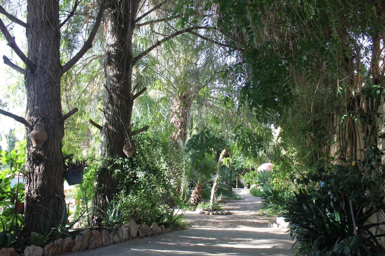 Country house Complex Masia Del Tremendo Y