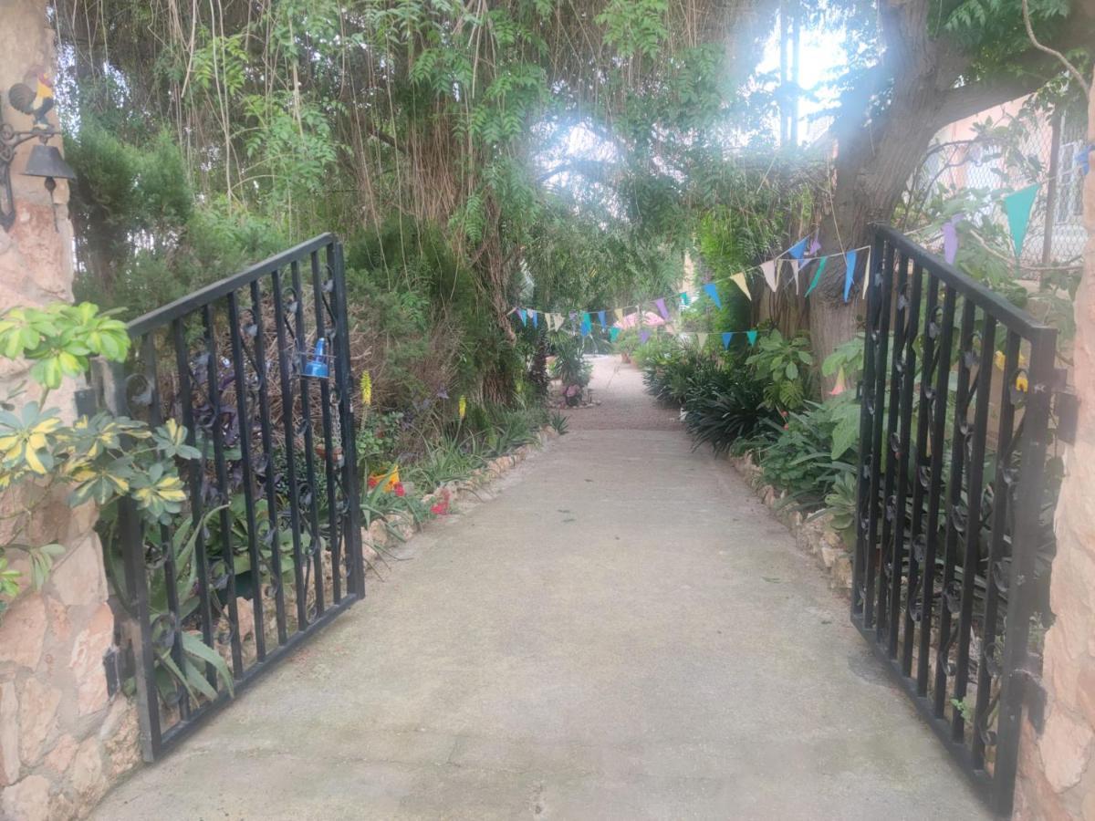 Complex Masia Del Tremendo Y Country house *