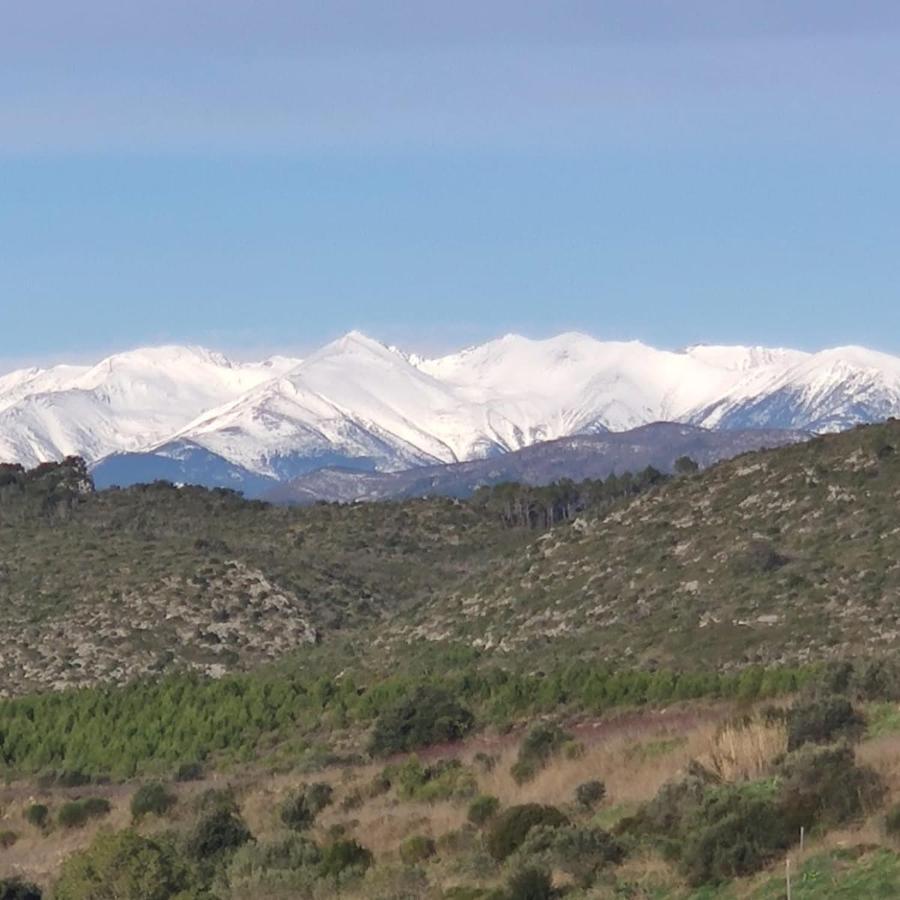 Cal Fuster Experience * Terrades