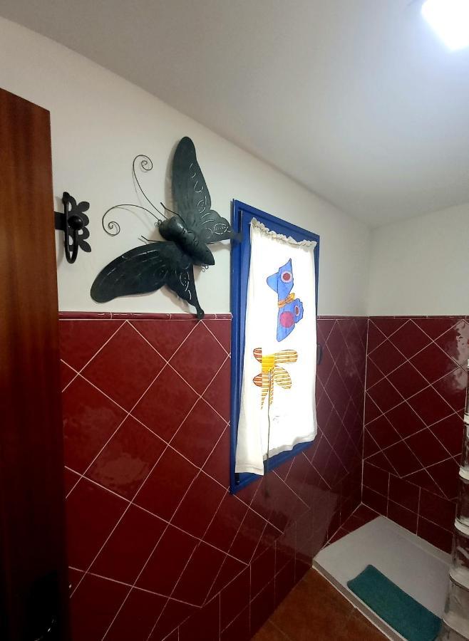 Casa Pescado Y Mariposas Apartamento Arrecife (Lanzarote)