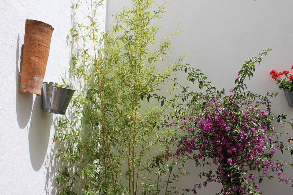 Room Tarifa Hostal Tarifa