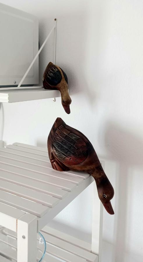 Apartamento Casa Pescado Y Mariposas *