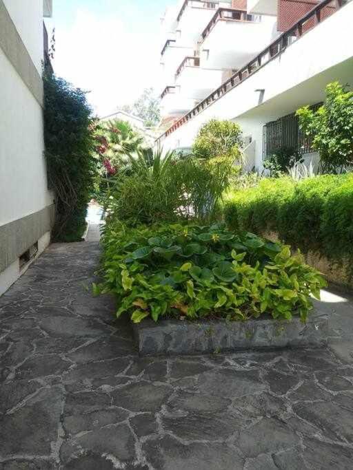 Piso De Lujo En El Centro Apartamento