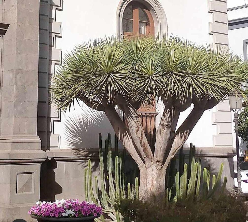 Apartamento Piso De Lujo En El Centro Santa Cruz de Tenerife