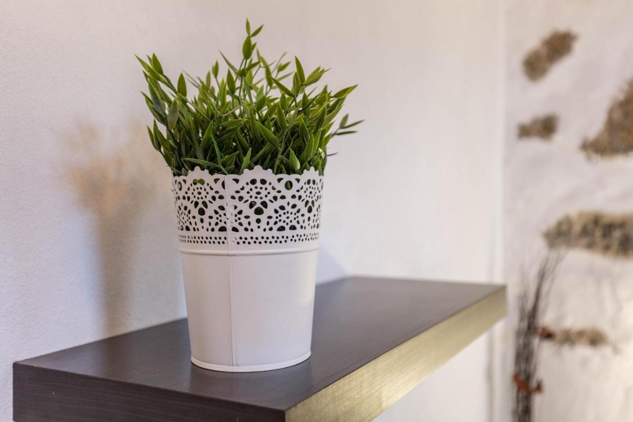 Edén Ecologico En Casa La Fuentita