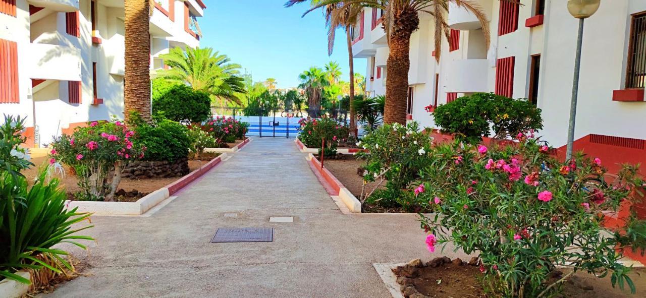 Playa De Americas 600mt From The Internet Free * Playa de las Americas (Tenerife)