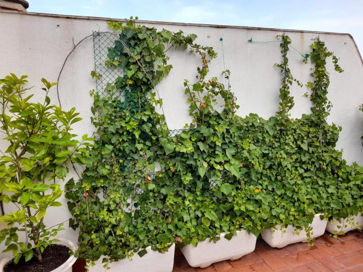 Atico Isaac Albeniz Apartamento La Pineda