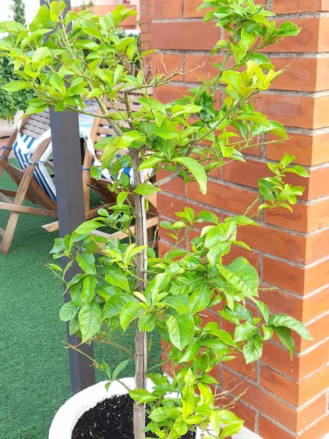 Apartamento Atico Isaac Albeniz La Pineda