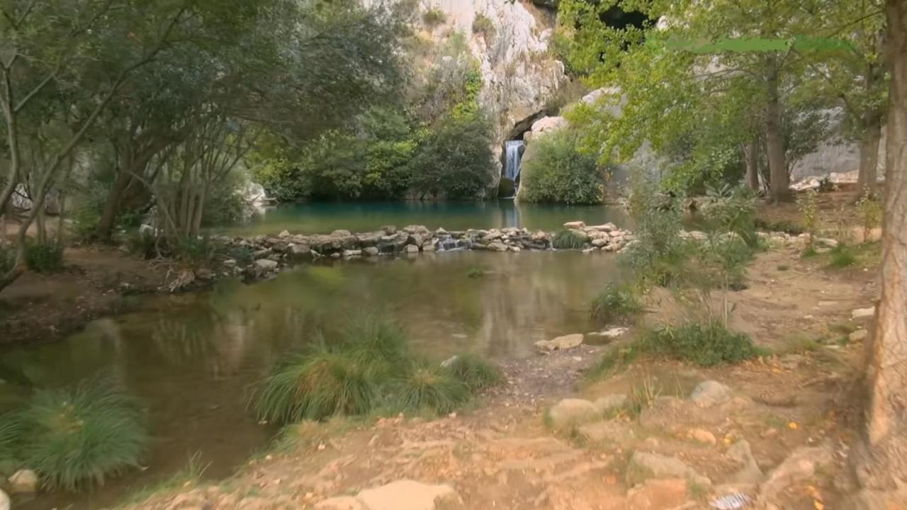 Rosas De * Benaojan