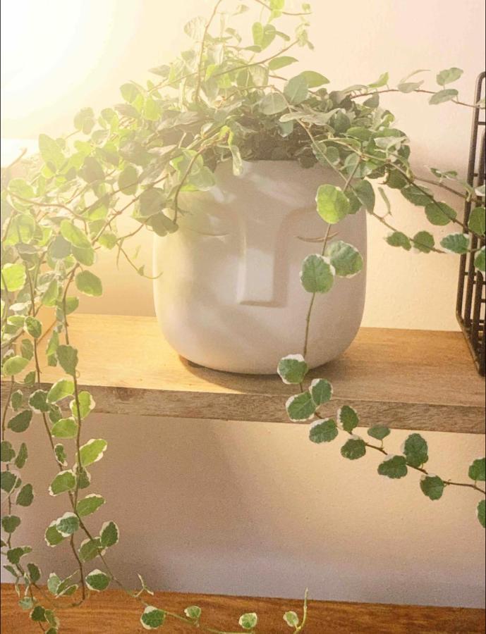 Apartment Loft Con Mucho Encanto Cerca De Sevilla *