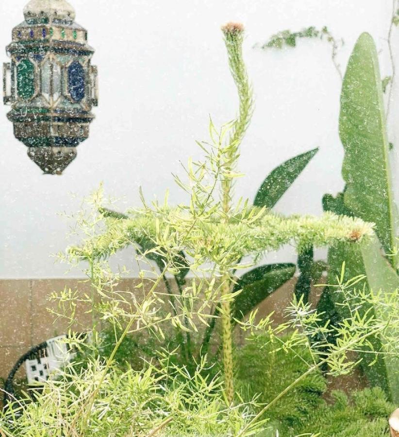 Loft Con Mucho Encanto Cerca De Sevilla Apartment