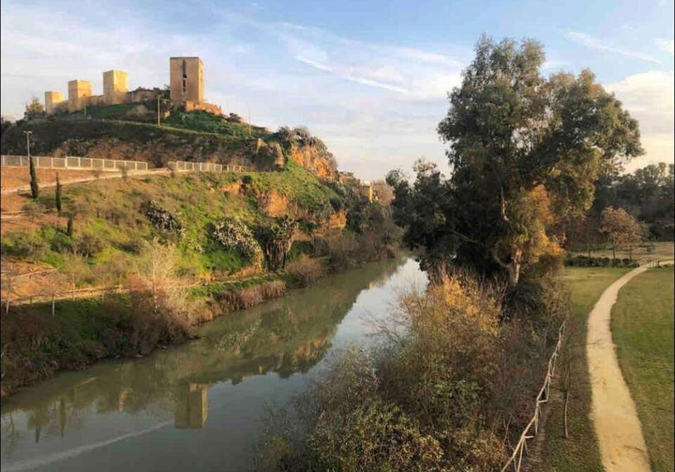 Apartment Loft Con Mucho Encanto Cerca De Sevilla *