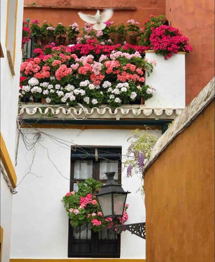 Apartment Loft Con Mucho Encanto Cerca De Sevilla Alcala de Guadaira