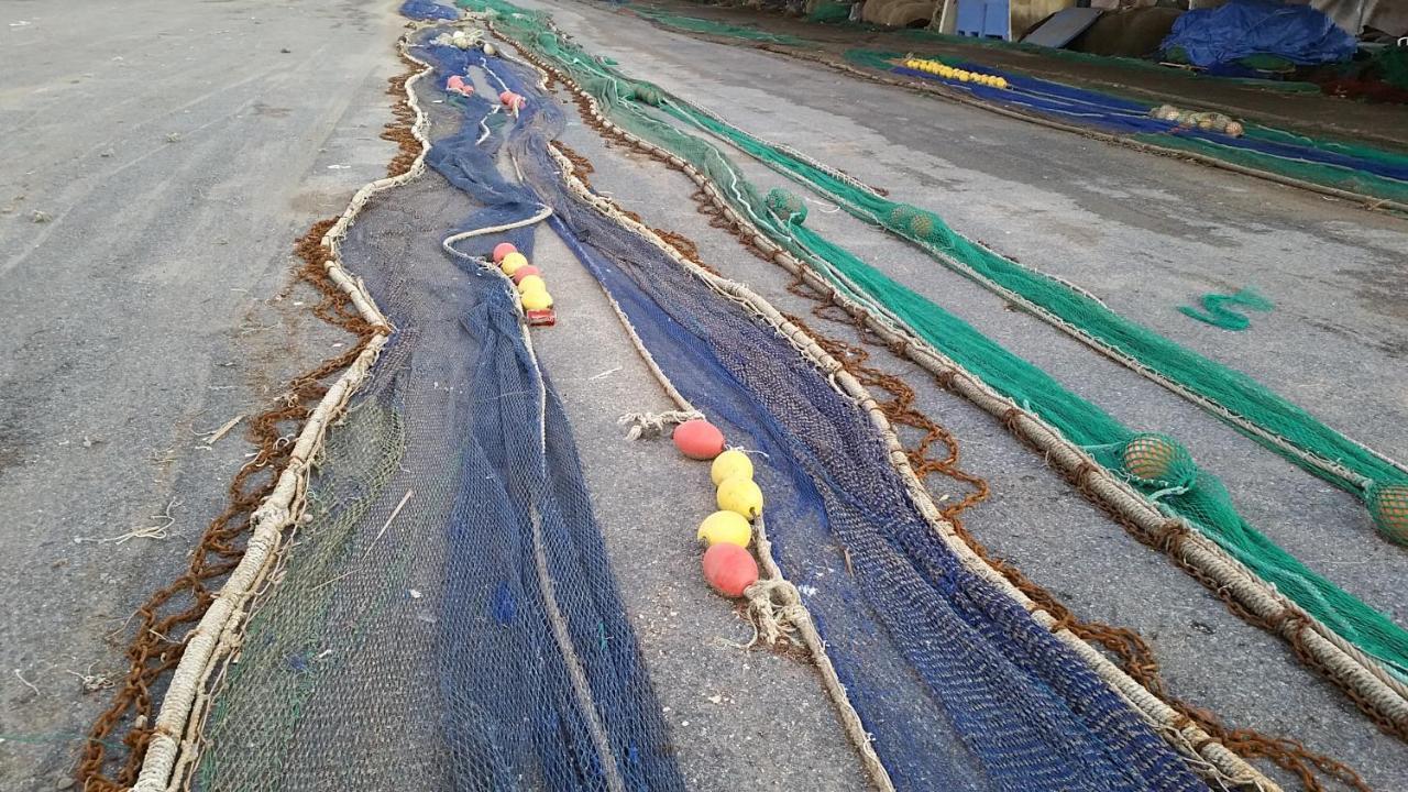 La Piragua *