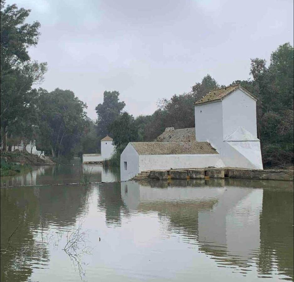 Apartment Loft Con Mucho Encanto Cerca De Sevilla *