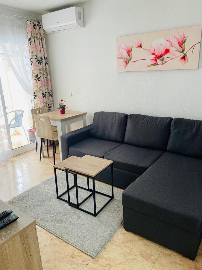 Apartment San Pascual, 289 Torrevieja