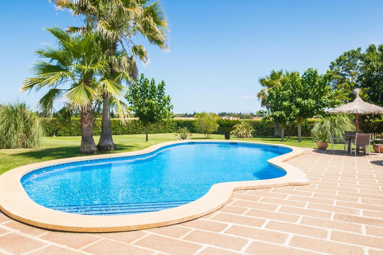 Finca Mostaxet Сasa de vacaciones Muro