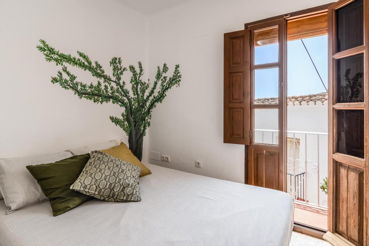 Town House With Roof Terrace And Plunge Pool * Alcaucin