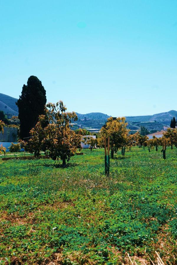 Villa Yantar *
