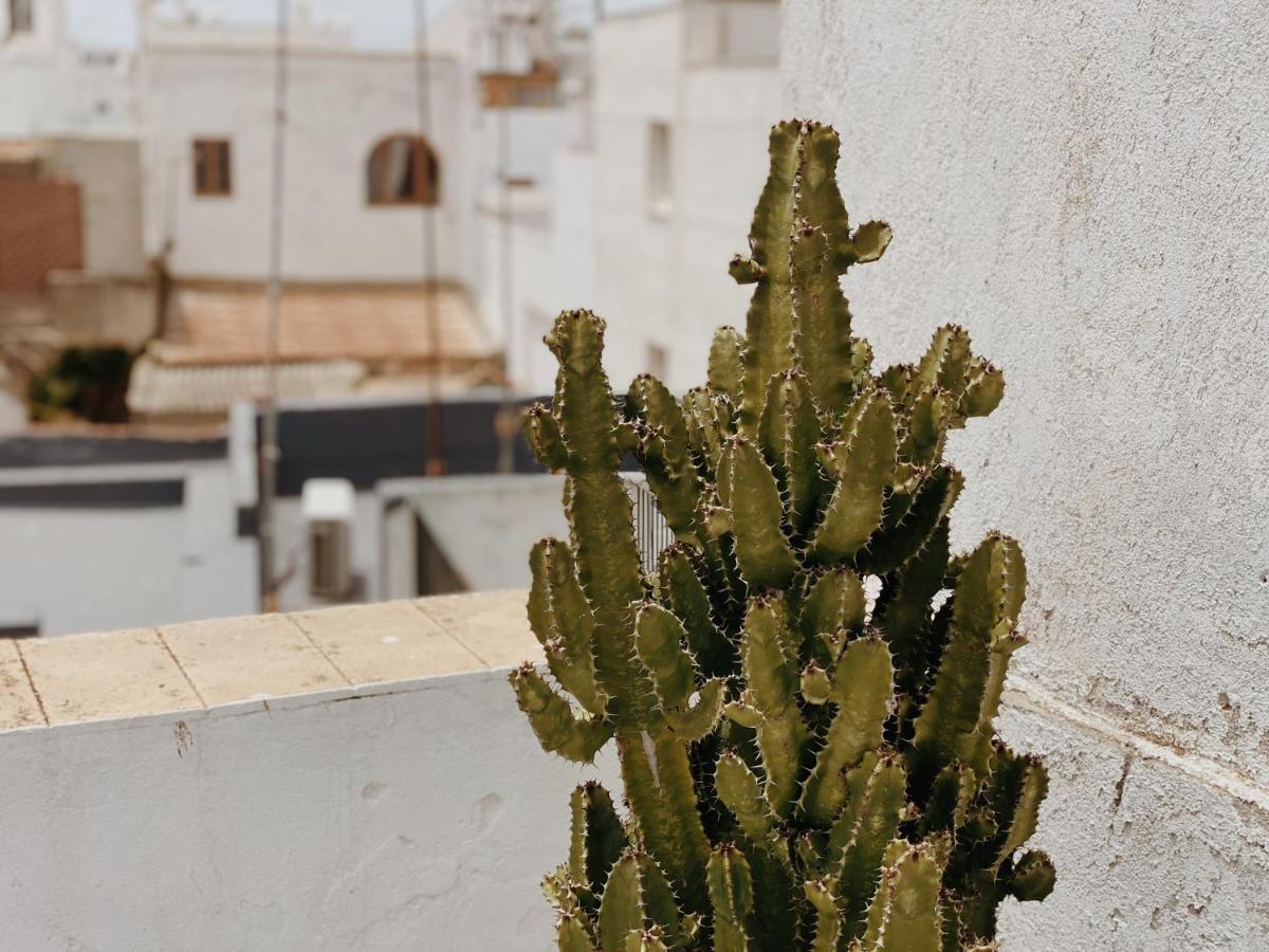 Cool Loft In The Old Town With Rooftop Terrace And Fireplace