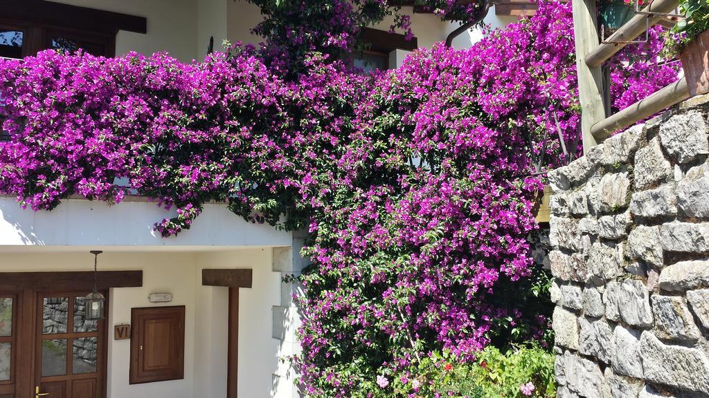 Apartamento Rurales La Güertona