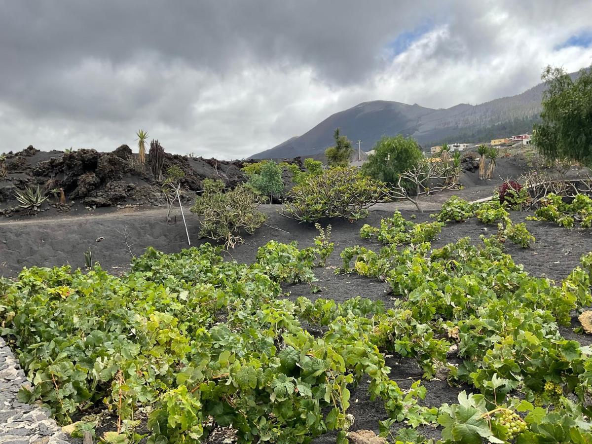 Casa Cueva De Palomas 1 Las Manchas (La Palma)