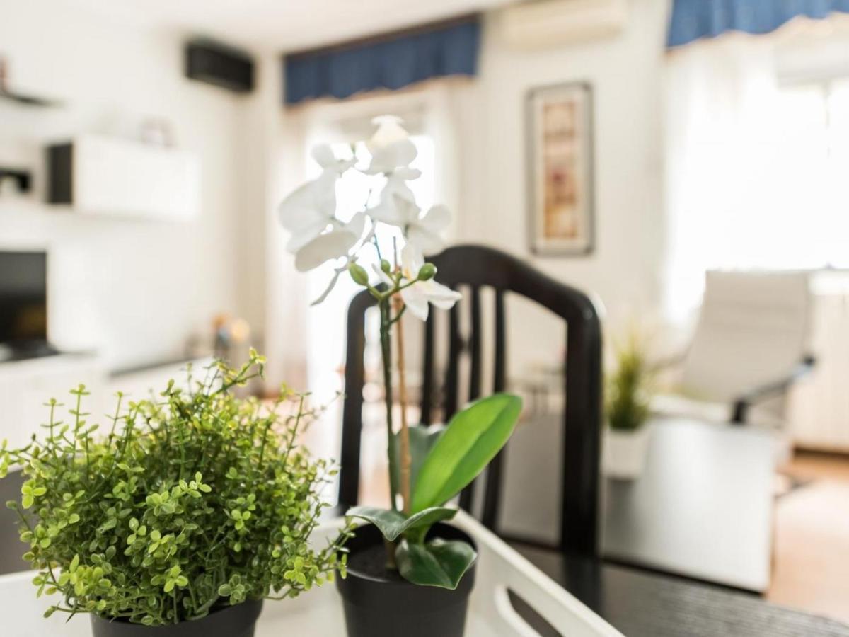 Apartamento El De Esteban