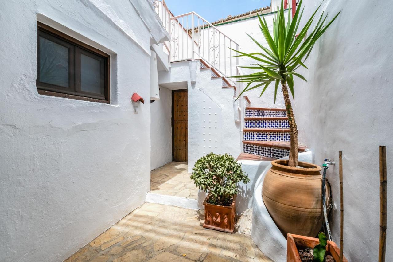 Town House With Roof Terrace And Plunge Pool Holiday home *